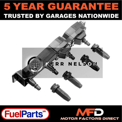 Kerr nelson ignition coil pack - nelson,