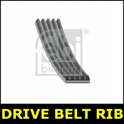 Drive belt fits citroen - citroen, ax