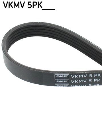 Ribbed belt for - v-ribbed, citroen