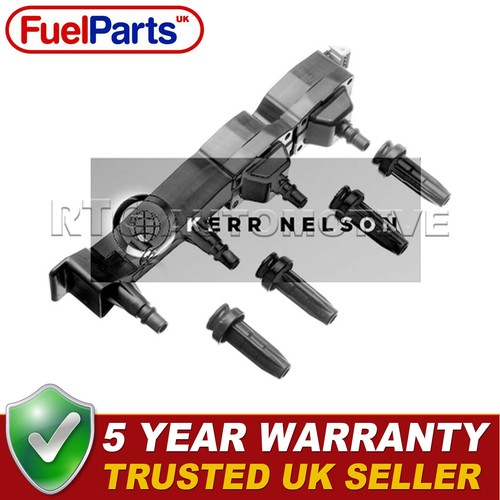 Kerr nelson ignition - kerr,